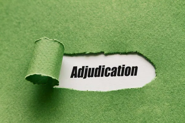 The Benefits and Drawbacks of Adjudication